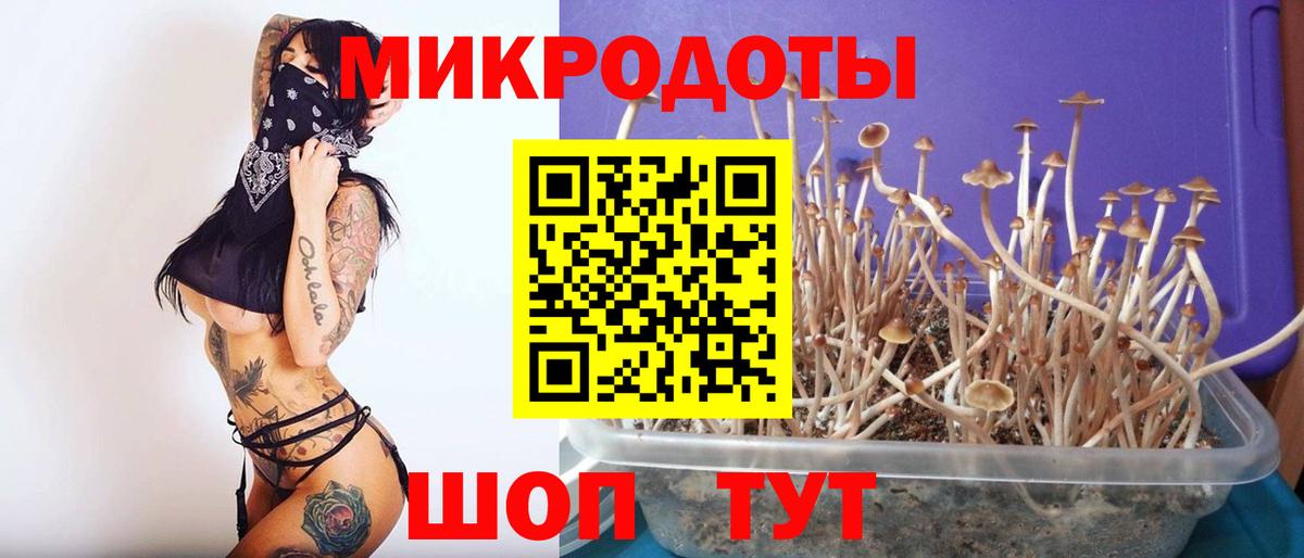 Меф МЯУ МЯУ   ГАШ  Метадон  А ПВП СК   Амфетамин   Вход с VPN  МДМА  Партизанск  Codein  Героин  COCAIN 