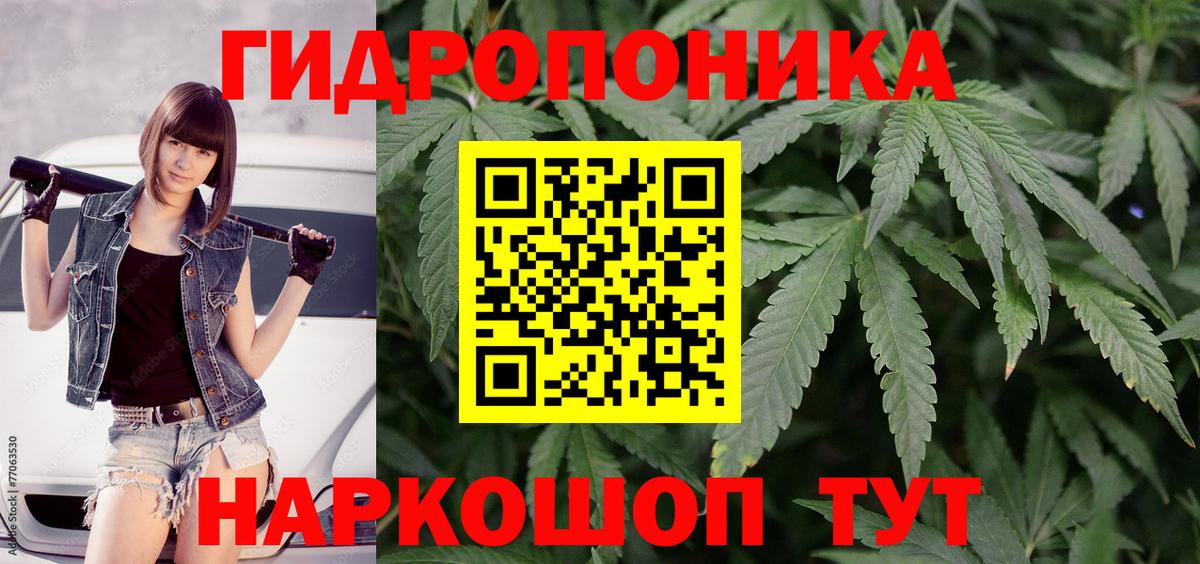 Каннабис конопля  Вход с VPN  Бошки марихуана семена  Марихуана конопля  Партизанск 